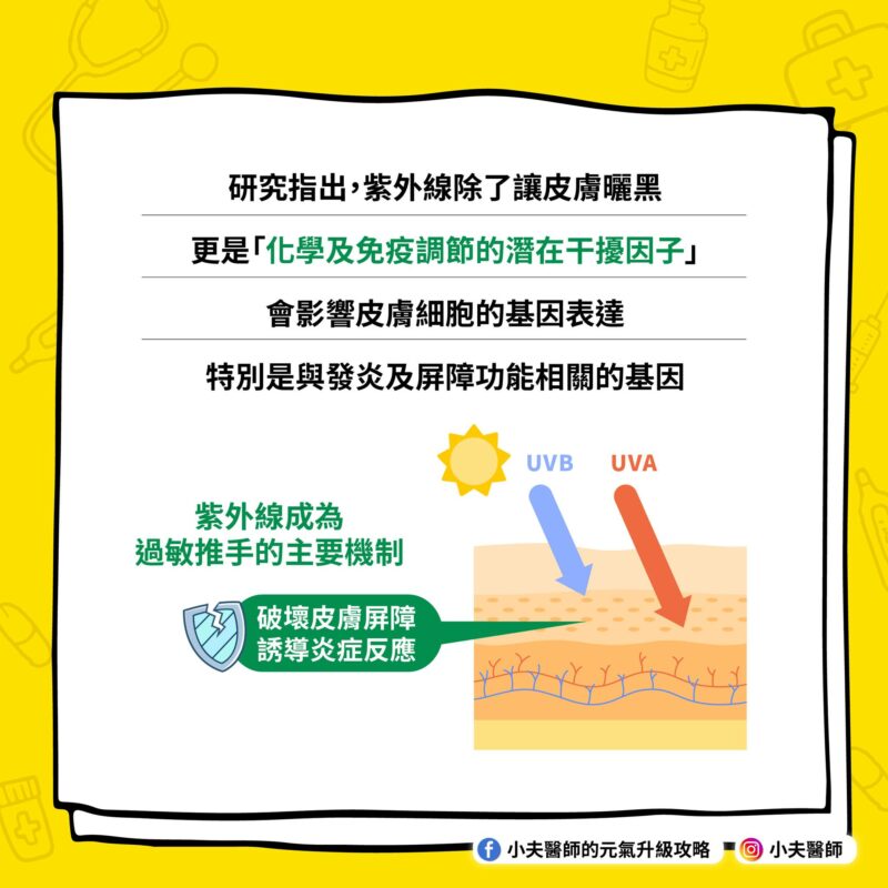化學及免疫調節的潛在干擾因子