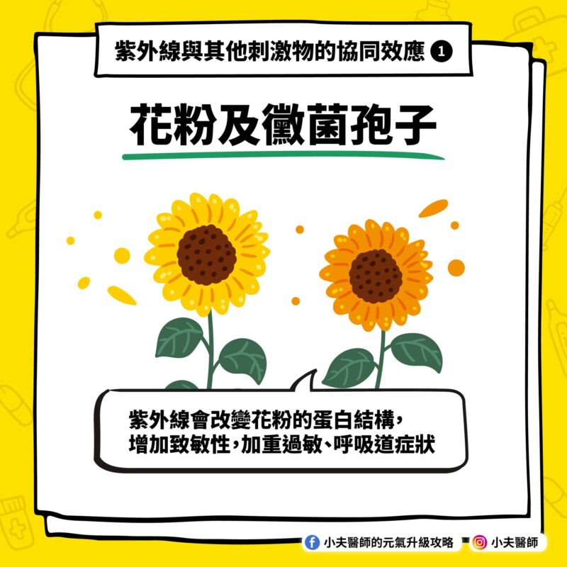 花粉及黴菌孢子